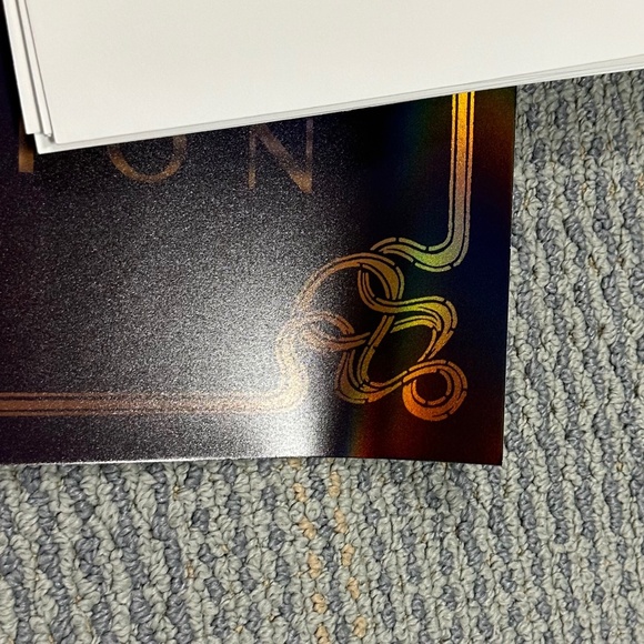 TAYLOR SWIFT Speak Now Taylor's Version Holographic Lithograph Poster 18"x24" - Picture 3 of 7